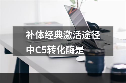 补体经典激活途径中C5转化酶是