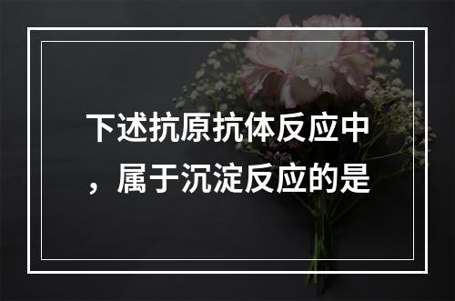 下述抗原抗体反应中，属于沉淀反应的是