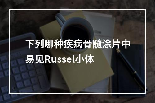 下列哪种疾病骨髓涂片中易见Russel小体