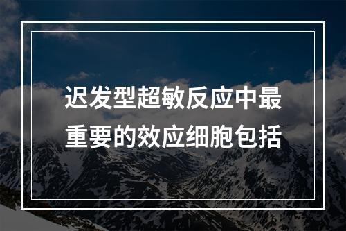 迟发型超敏反应中最重要的效应细胞包括