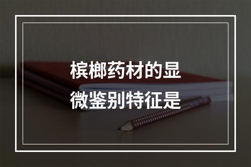 槟榔药材的显微鉴别特征是