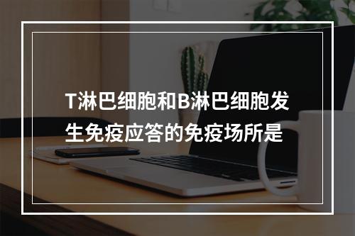 T淋巴细胞和B淋巴细胞发生免疫应答的免疫场所是