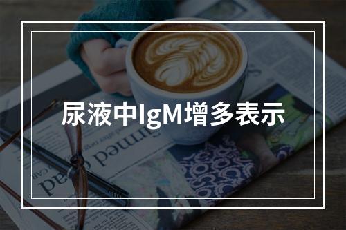 尿液中IgM增多表示