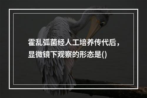 霍乱弧菌经人工培养传代后，显微镜下观察的形态是()