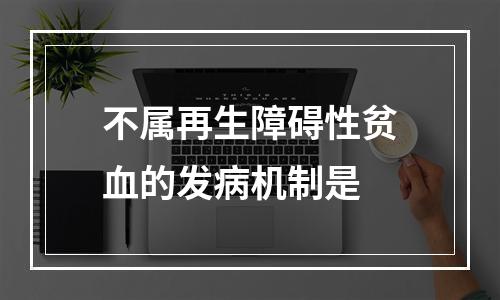 不属再生障碍性贫血的发病机制是