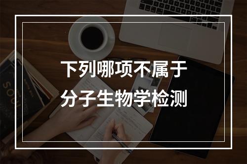 下列哪项不属于分子生物学检测