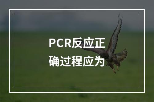 PCR反应正确过程应为