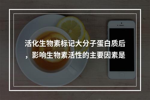 活化生物素标记大分子蛋白质后，影响生物素活性的主要因素是