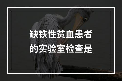 缺铁性贫血患者的实验室检查是