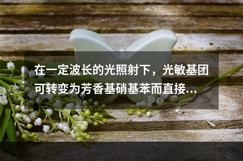 在一定波长的光照射下，光敏基团可转变为芳香基硝基苯而直接与腺