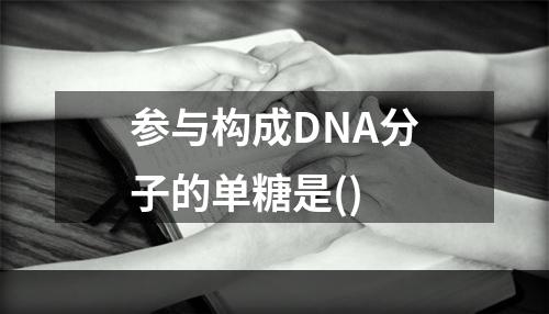 参与构成DNA分子的单糖是()