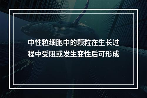 中性粒细胞中的颗粒在生长过程中受阻或发生变性后可形成