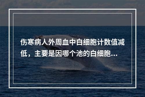 伤寒病人外周血中白细胞计数值减低，主要是因哪个池的白细胞增多