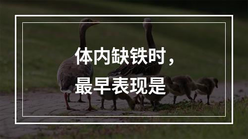 体内缺铁时，最早表现是