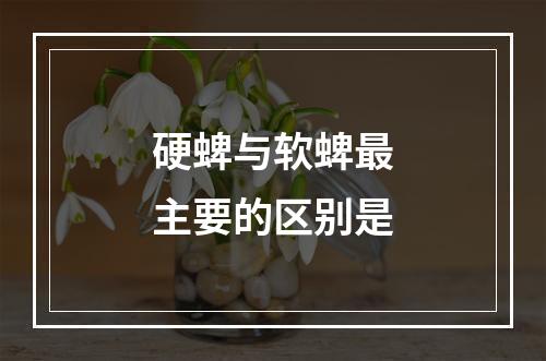 硬蜱与软蜱最主要的区别是