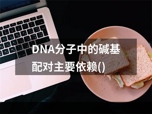 DNA分子中的碱基配对主要依赖()