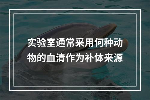 实验室通常采用何种动物的血清作为补体来源