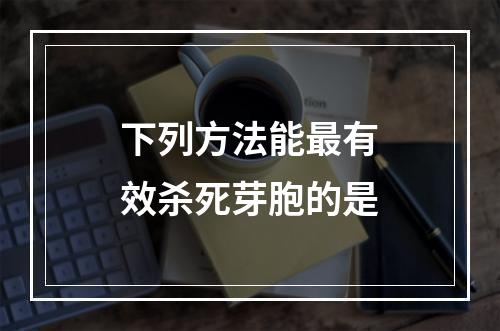 下列方法能最有效杀死芽胞的是