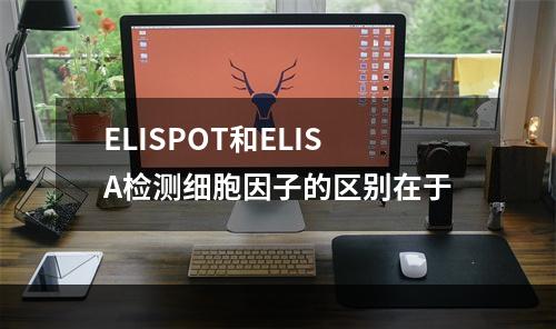 ELISPOT和ELISA检测细胞因子的区别在于