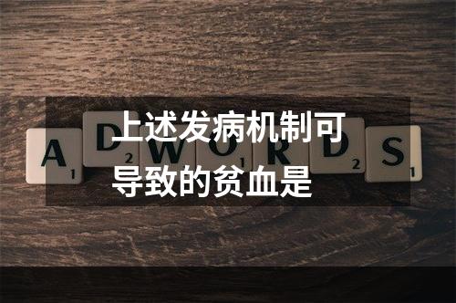 上述发病机制可导致的贫血是