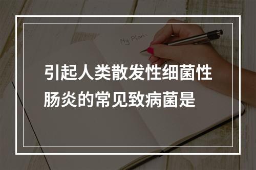 引起人类散发性细菌性肠炎的常见致病菌是