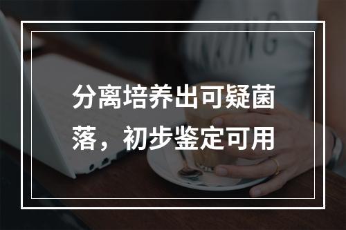 分离培养出可疑菌落，初步鉴定可用