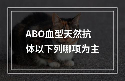 ABO血型天然抗体以下列哪项为主