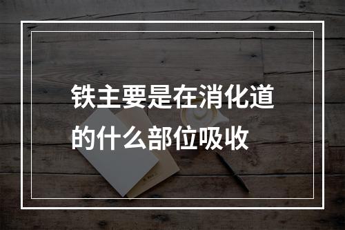 铁主要是在消化道的什么部位吸收