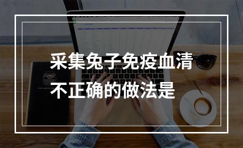 采集兔子免疫血清不正确的做法是