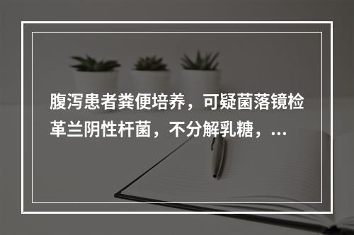 腹泻患者粪便培养，可疑菌落镜检革兰阴性杆菌，不分解乳糖，分解