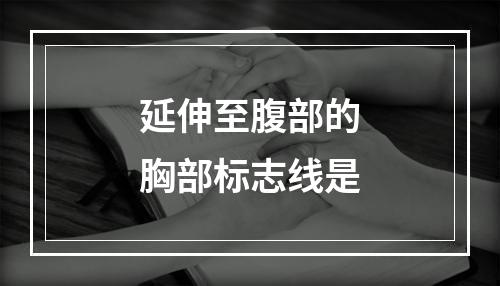 延伸至腹部的胸部标志线是