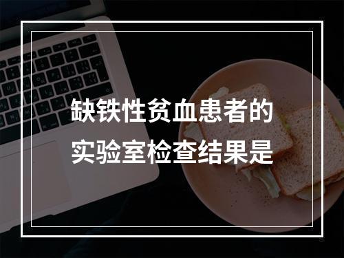 缺铁性贫血患者的实验室检查结果是