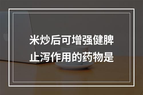 米炒后可增强健脾止泻作用的药物是