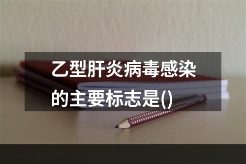 乙型肝炎病毒感染的主要标志是()