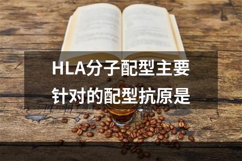 HLA分子配型主要针对的配型抗原是