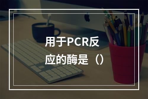 用于PCR反应的酶是（）