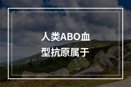 人类ABO血型抗原属于