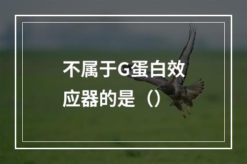 不属于G蛋白效应器的是（）