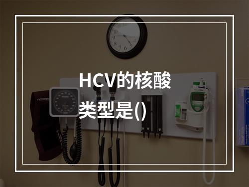 HCV的核酸类型是()