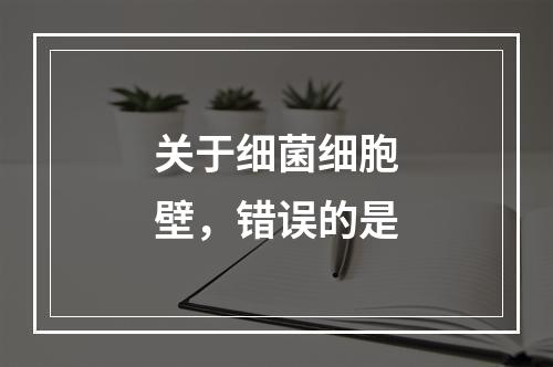 关于细菌细胞壁，错误的是