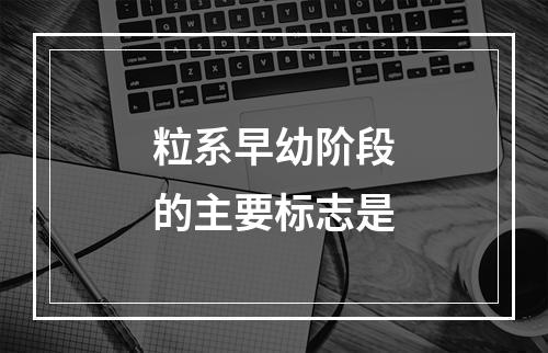 粒系早幼阶段的主要标志是