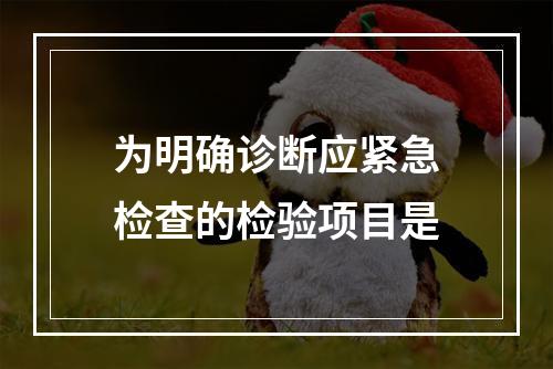 为明确诊断应紧急检查的检验项目是