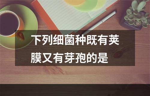 下列细菌种既有荚膜又有芽孢的是