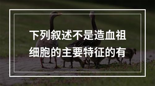 下列叙述不是造血祖细胞的主要特征的有