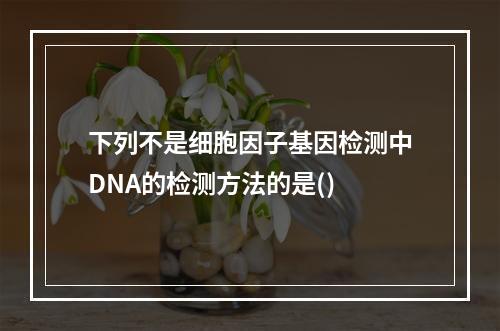 下列不是细胞因子基因检测中DNA的检测方法的是()