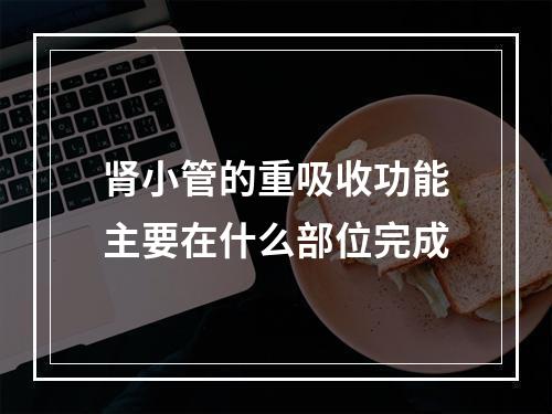 肾小管的重吸收功能主要在什么部位完成