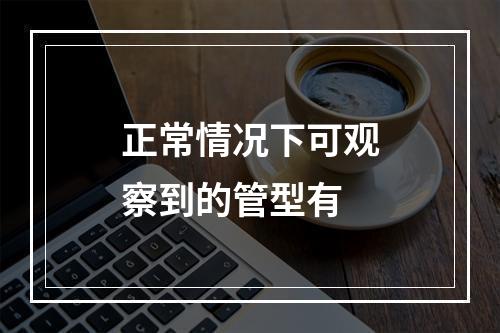 正常情况下可观察到的管型有