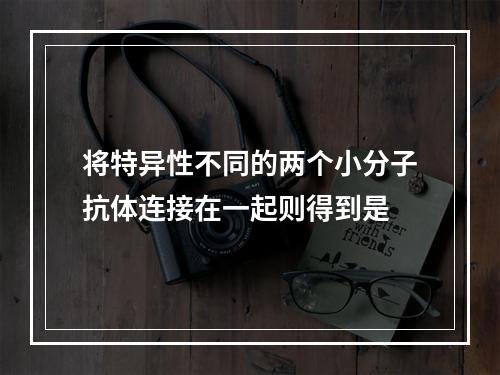 将特异性不同的两个小分子抗体连接在一起则得到是