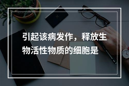 引起该病发作，释放生物活性物质的细胞是