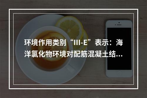 环境作用类别“Ⅲ-E”表示：海洋氯化物环境对配筋混凝土结构的